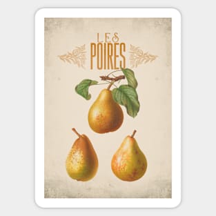 Old fruit poster - Pears - Vintage - retro Sticker